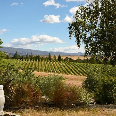 Grey Ridge Vineyard Experience Bed and Breakfast Alexandra Buitenkant foto