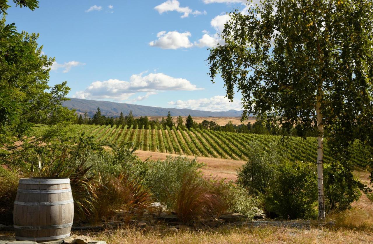 Grey Ridge Vineyard Experience Bed and Breakfast Alexandra Buitenkant foto