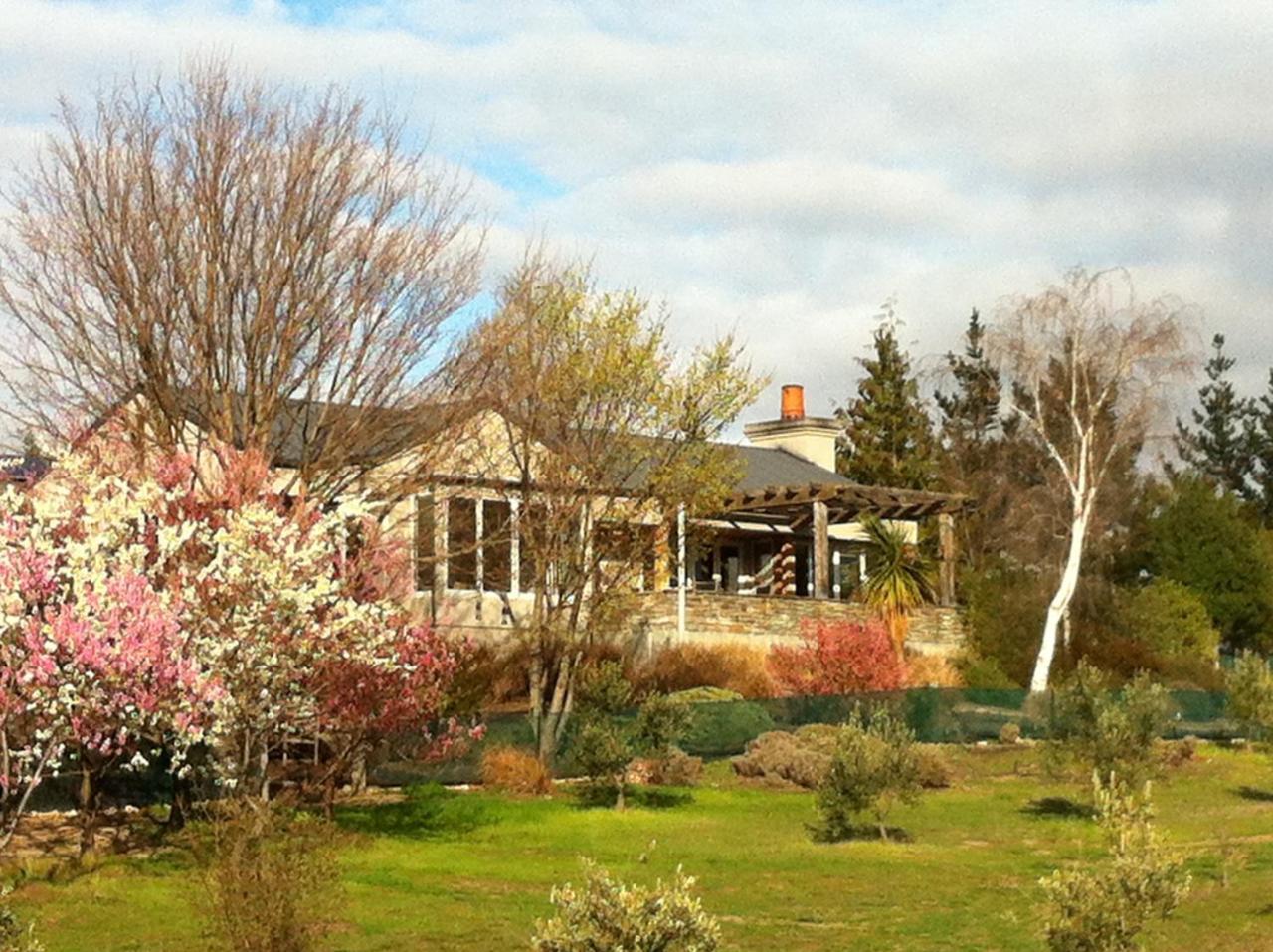 Grey Ridge Vineyard Experience Bed and Breakfast Alexandra Buitenkant foto