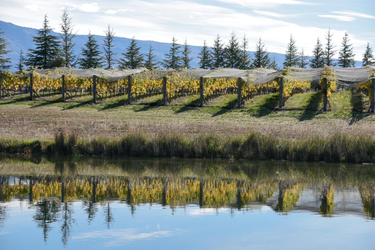 Grey Ridge Vineyard Experience Bed and Breakfast Alexandra Buitenkant foto