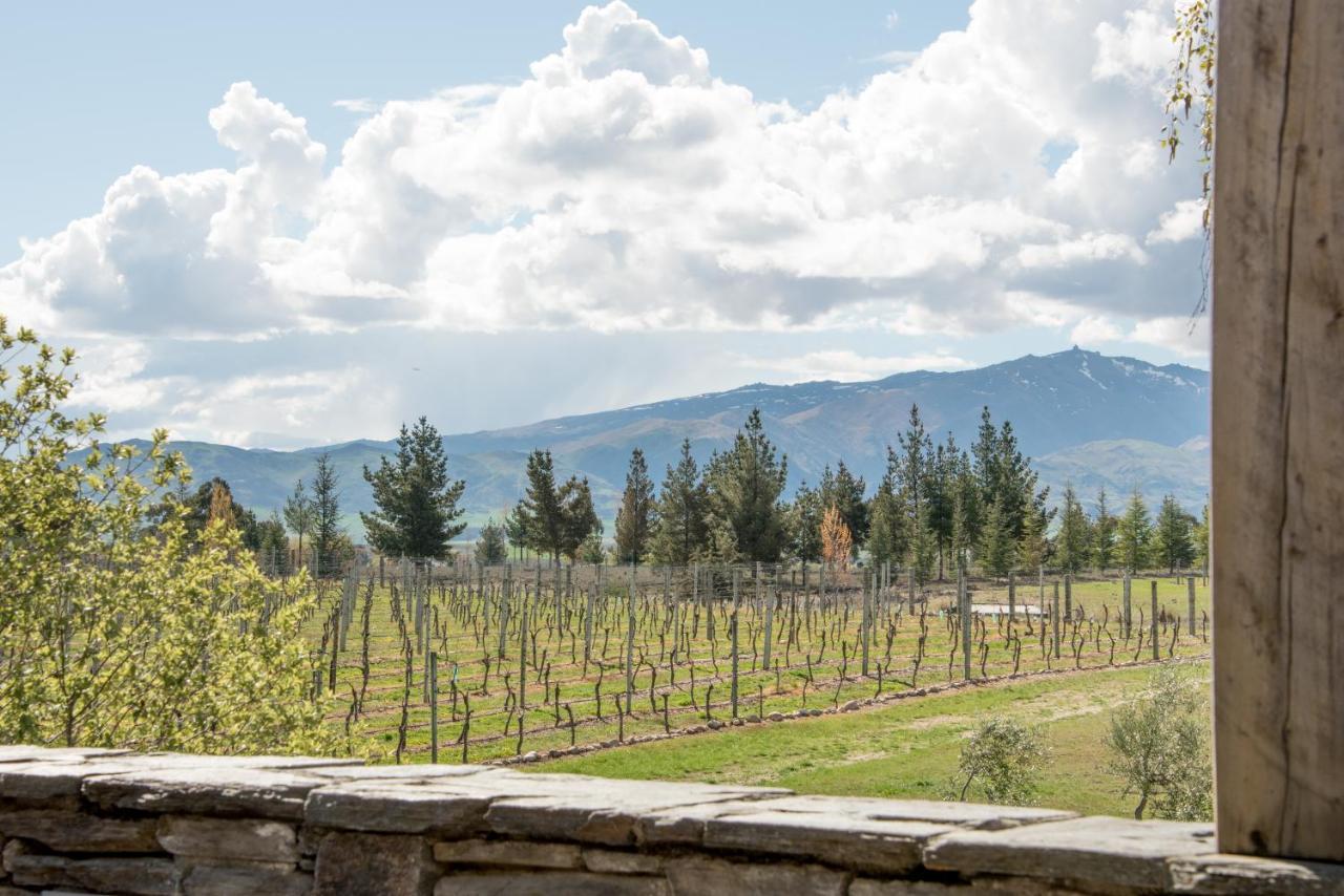 Grey Ridge Vineyard Experience Bed and Breakfast Alexandra Buitenkant foto