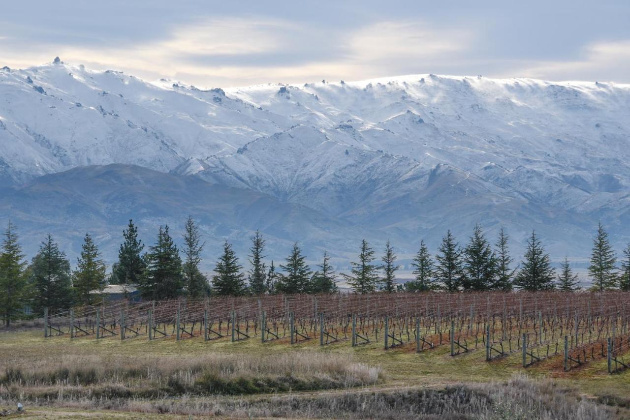 Grey Ridge Vineyard Experience Bed and Breakfast Alexandra Buitenkant foto